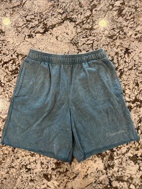 Champion Men's Teal Terry Athletic Shorts